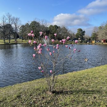 Strawberry Patch Park - Parks Near Me - Madison, Mississippi