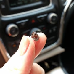 Avis - First piece of glass we found in our Avis vehicle