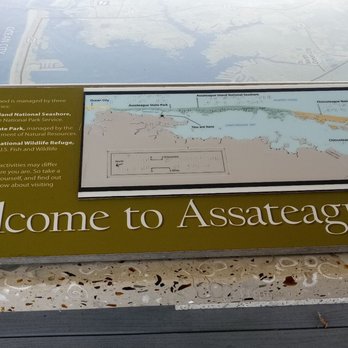 Assateague Island Visitor Center - Visitor Centers Near Me - Berlin, Maryland Assateague Island Visitor Center - Visitor Centers Near Me - Berlin, Maryland