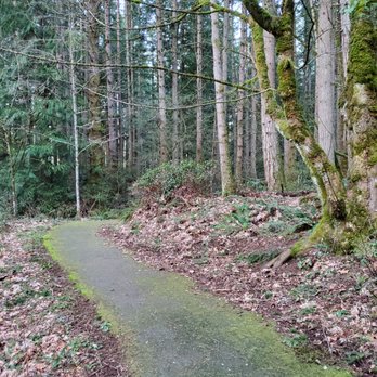 Watershed Preserve - Parks Near Me - Redmond, Washington