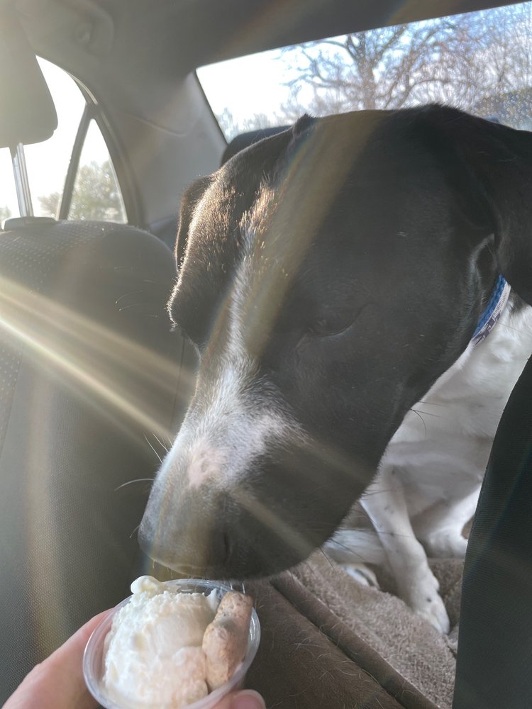 Bruster's Real Ice Cream