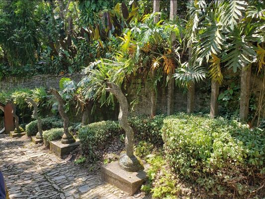 Las Pozas by null