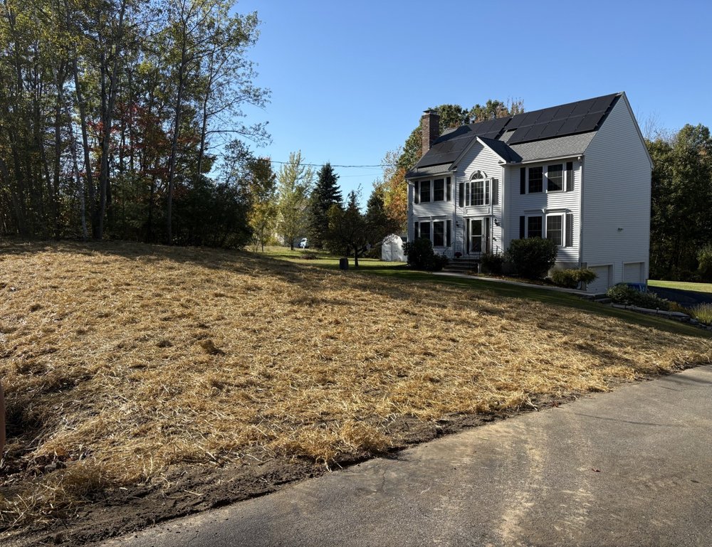 Ces Property Service - tree service in Salem, NH