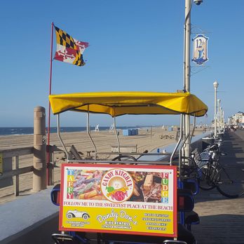 dandy don's bike rentals & service