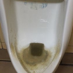 It's just gross!!!