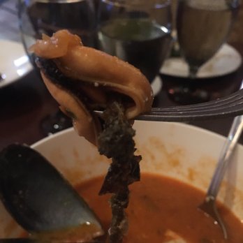 Mozaic - Mussel with ZZ Top beard. - Mediterranean Near Me - Santa Cruz, California