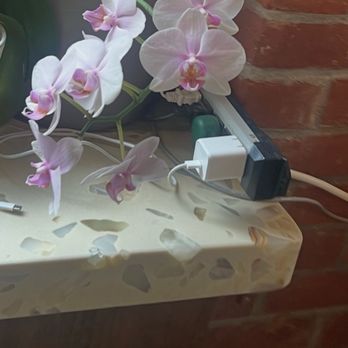 Flying Ninja - Planted by the the purple plant and this place is electric - Sushi Bars Near Me - San Francisco, California Flying Ninja - Planted by the the purple plant and this place is electric - Sushi Bars Near Me - San Francisco, California