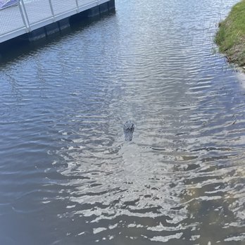 Corey Billie's Airboat Rides - Boat Tours Near Me - Collier, Florida Corey Billie's Airboat Rides - Boat Tours Near Me - Collier, Florida