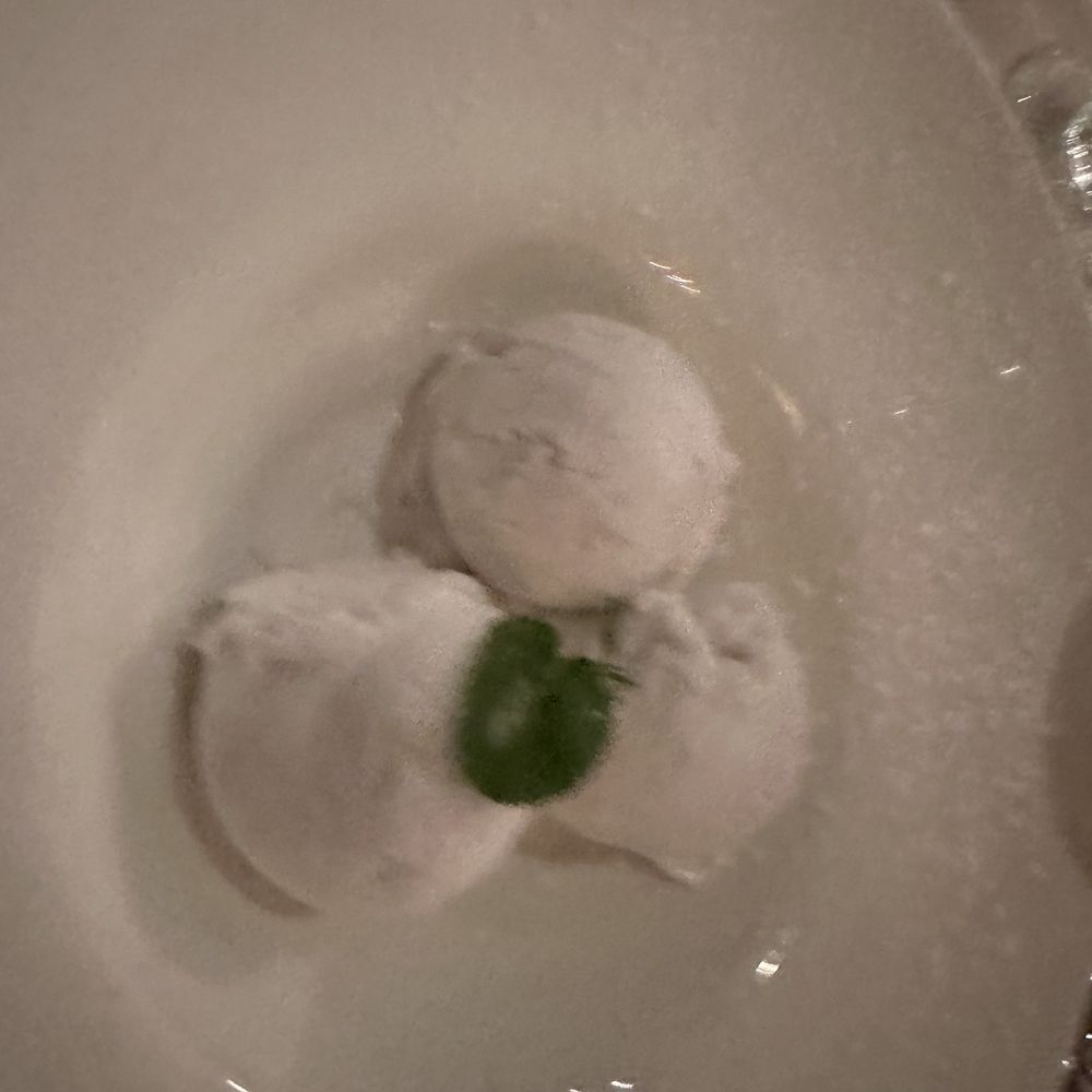 Cafe Panache - Coconut sorbet - Salad Near Me - Ramsey, New Jersey Cafe Panache - Coconut sorbet - Salad Near Me - Ramsey, New Jersey