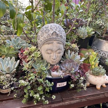 Tansy - Home Decor Near Me - Burbank, California