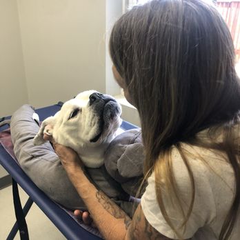 Moonlight Veterinary Center - My boy Ricky at Moonlight veterinarian center - Veterinarians Near Me - Encinitas, California