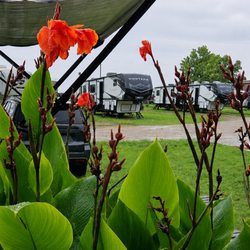 Lucky's RV Park