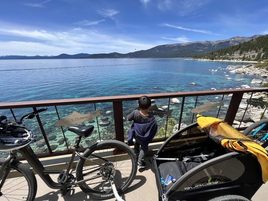 Flume Trail Bikes by null