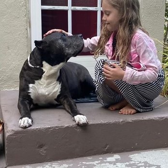Comforting Creatures - Goodbye, Friend... - Veterinarians Near Me Comforting Creatures - Goodbye, Friend... - Veterinarians Near Me