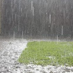 B's Montana Gardens - 3 Problems That Can be Fixed With Drainage Solutions