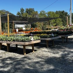 Grasshopper Farms NC - The outside.