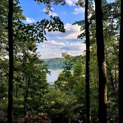 Goose Point Campground
