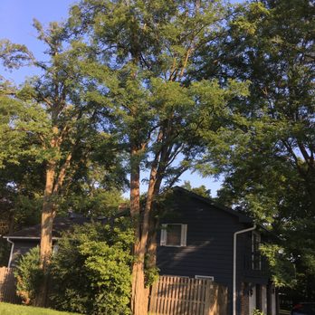 All Seasons Tree Service - Tree Services Near Me - Waukegan, Illinois All Seasons Tree Service - Tree Services Near Me - Waukegan, Illinois