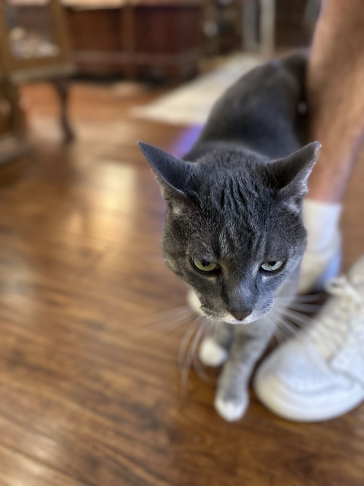 Main Street Antique Mall