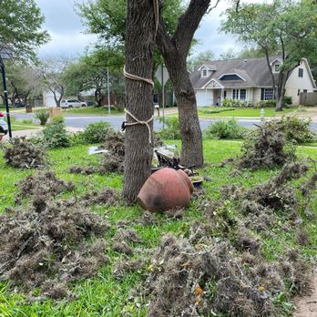 Constant Lawn and Gardener - Tree Services Near Me