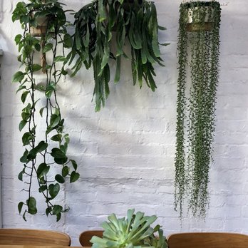 Le Clec - Breakfast & Brunch Near Me - Hawthorn, VIC