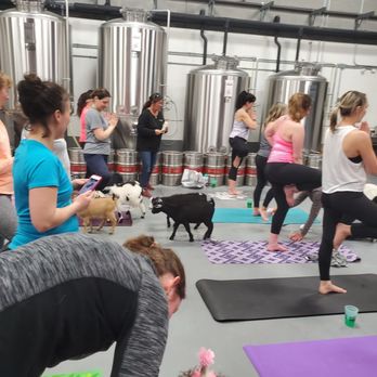 Streetside Brewery - Goat Yoga at the brewery! - Breweries Near Me - Cincinnati, Ohio Streetside Brewery - Goat Yoga at the brewery! - Breweries Near Me - Cincinnati, Ohio
