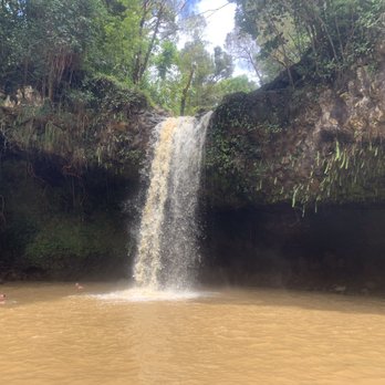 Hike Maui - Tours Near Me - Kahului, Hawaii