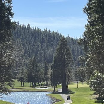 Sequoia Woods Country Club - View from behind the 11th green looking back at the course - Country Clubs Near Me - Arnold, California Sequoia Woods Country Club - View from behind the 11th green looking back at the course - Country Clubs Near Me - Arnold, California