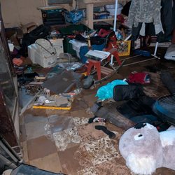 Cooper Property & Waste Solutions - Chaos