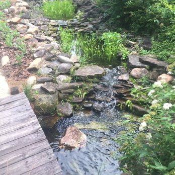 Sandhills Horticultural Gardens - Babbling brook - Botanical Gardens Near Me - Pinehurst, North Carolina Sandhills Horticultural Gardens - Babbling brook - Botanical Gardens Near Me - Pinehurst, North Carolina