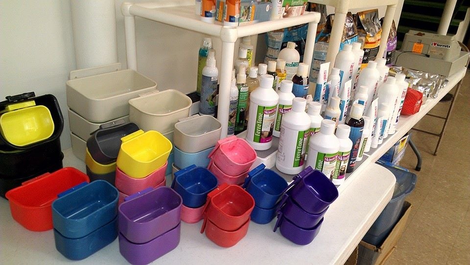 Hide-E-Hole Ferret Rescue - social services organization in Pittsburgh, PA