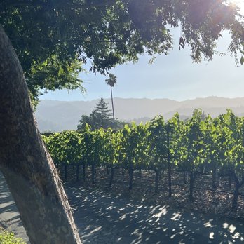 Peju Winery - Wine Tasting Room Near Me - Rutherford, California Peju Winery - Wine Tasting Room Near Me - Rutherford, California