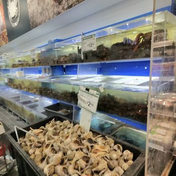 99 Ranch Market - Seafood - International Grocery Near Me - New York, New York