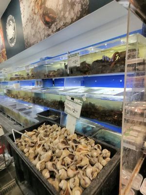 99 Ranch Market by null