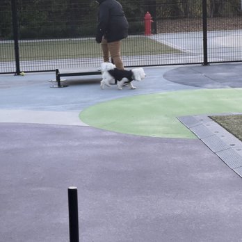 Dewey Local Park - Small dog park - Dog Parks Near Me - Silver Spring, Maryland