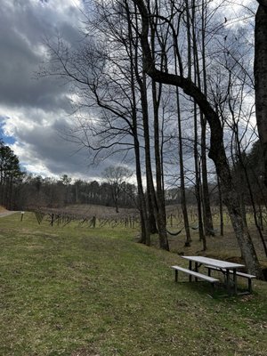 Cartecay Vineyards by null