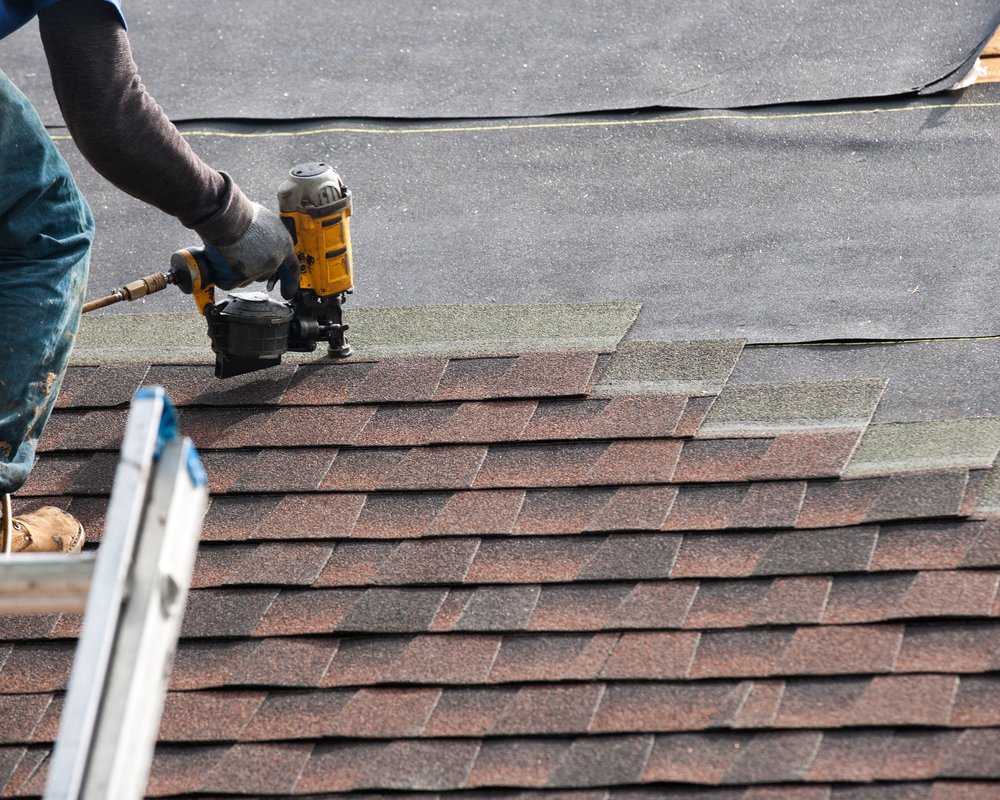 Slide of Wiener Dog Roofing
