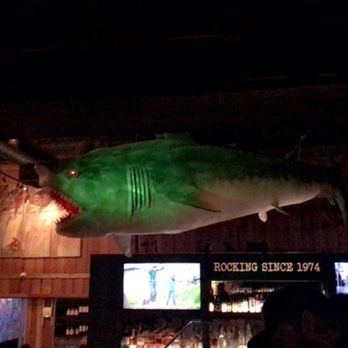 Belly Up Tavern - Bars Near Me - Solana Beach, California