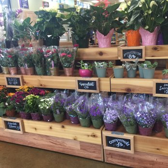 Trader Joe's - Grocery Near Me - Eugene, Oregon