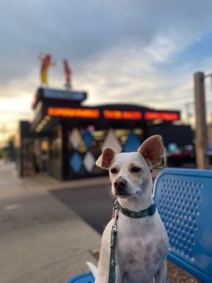 Superdawg Drive-In by null