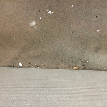 Public Storage - Rat feces on the balcony outside unit 246 which was not swept out but there to begin with. - Self Storage Near Me - Mountain View, California