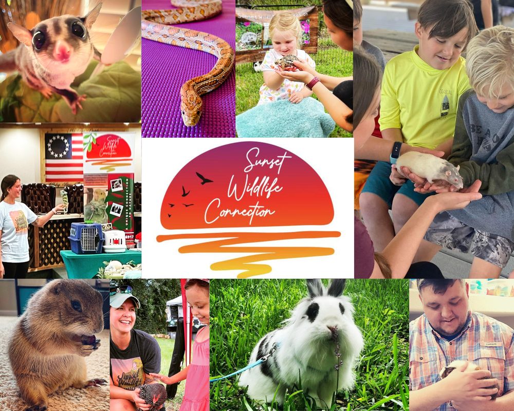 Social spots from Sunset Wildlife Connection