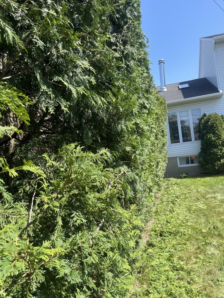 DND LANDSCAPING AND SNOW REMOVAL Updated August 2024 Request a