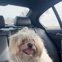 her hair might've been long but she is definitely a super loved and happy girl. Always smiling !! her hair might've been long but she is definitely a super loved and happy girl. Always smiling !!