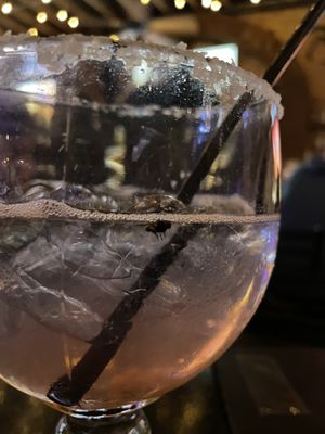 Firewater Saloon - Edison Park by null