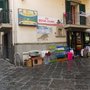 Photo of Animali Amici