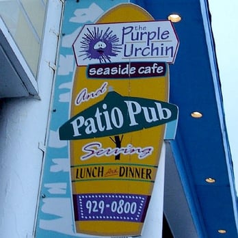 Purple Urchin - American Near Me - Hampton, New Hampshire Purple Urchin - American Near Me - Hampton, New Hampshire