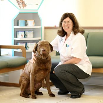 Litchfield Veterinary Hospital - Dr. Carey and Cody - Veterinarians Near Me - Litchfield, Connecticut Litchfield Veterinary Hospital - Dr. Carey and Cody - Veterinarians Near Me - Litchfield, Connecticut