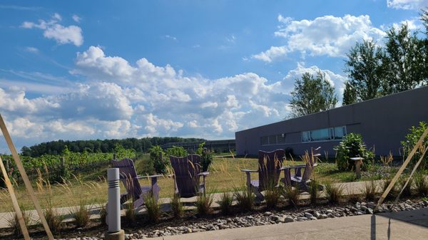 Southbrook Organic Vineyards by null