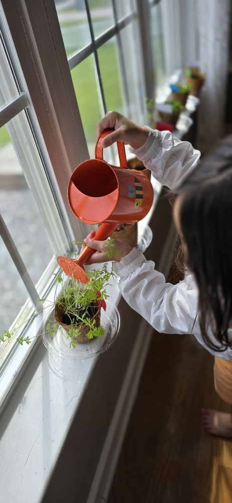 The Alphabet of Life Montessori Preschool - childcare center in Moseley, VA